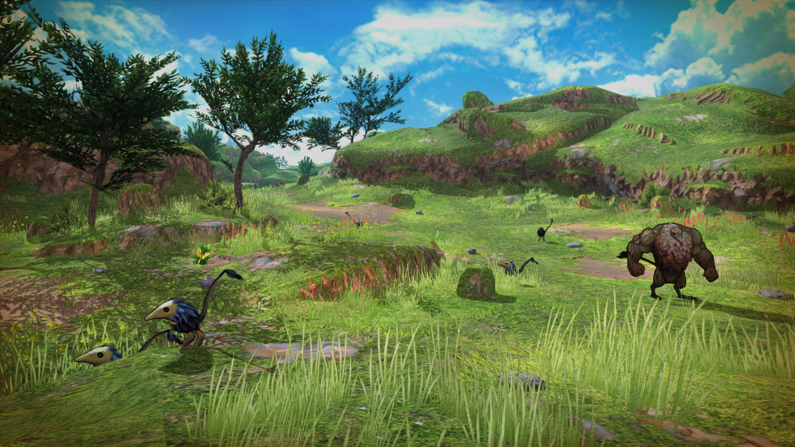 フィールドイメージ画像